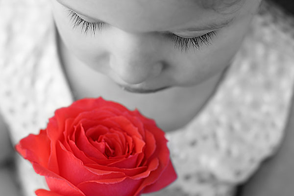 The Flower