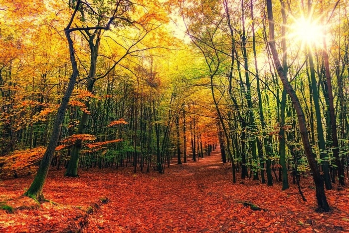 What New Parents Need to Know About Fall!