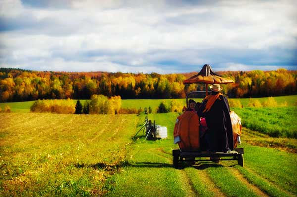 With the changing of the seasons…